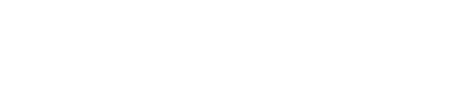 SafeFemme Logo
